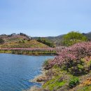 복사꽃향기 이미지