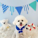 항상,예쁘개 이미지