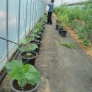 (주)황금농장 이미지