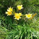 가야산국립공원사무소 이미지