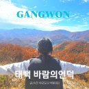 매봉산정상 | 강원도 태백 여행 가볼만한곳 바람의언덕 매봉산 정상 가본후기