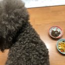 멍루랄라 이미지