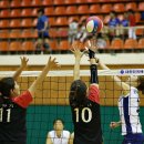 상아배이길 이미지