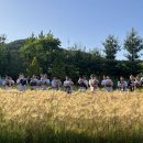 숲속리더유치원 이미지