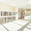 하이뭉치 유치원 이미지