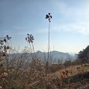 지우농원 이미지