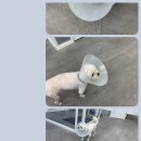 원러브동물의료센터 이미지