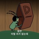 아우어캄푸스 이미지