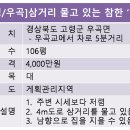 참한약 이미지