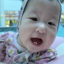 화순 | [화순 아이와 가볼 한 곳] 화순 아쿠아나 후기