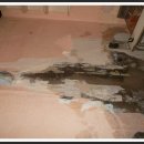 건승약국 이미지