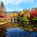 불국사 - 1655 | 불국사