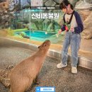 닥터랄랄라 | 가평 비오는날 실내 놀거리 5곳 아이와 가볼만한곳 가평 신비동물원