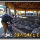 이든목장 이미지