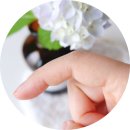 한국한센복지협회울산경남지부마산부설의원 이미지