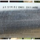 임기백 효자각 Daum카페