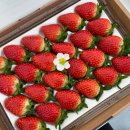 오명석농장 이미지