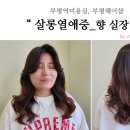 살롱열애중 이미지