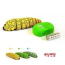 리모트 이미지