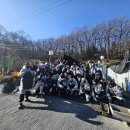 멘토 태권도 이미지