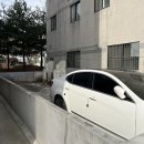 시시시케이크