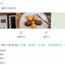 나리다온 이미지