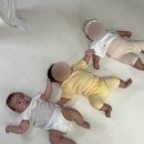 발산중 | 육아일기 : 112일~130일(뒤집기지옥, 새벽수유 끊기, 백일촬영, 2차 영유아검진, 산후탈모 시작, 통잠❤️)
