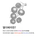 옵티마참약국 이미지