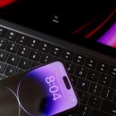 애플아일랜드 이미지