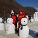 1/29일출석부,태백산 눈꽃축제 사진보이소 이미지