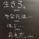 2025.04 💌