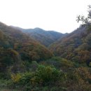 국립 백운산 자연휴양림 이미지