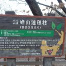 능산농장 네이버블로그