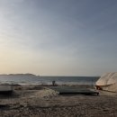 하늘숲캠핑장 | 태안 오션뷰 캠핑장 추천 시설 깔끔한 노을숲캠핑장 후기, 바다앞 명당은?