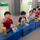 한국체대 정재환 태권도 이미지