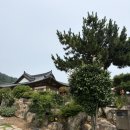 채송화펜션 | 청산도 펜션 행복해한옥펜션 완도반값여행 후기