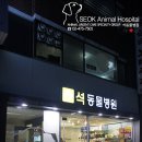 석동물병원 네이버블로그