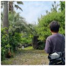 부영농장 이미지