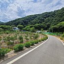 포레스트펜션민박 이미지