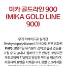 스팅거경주점