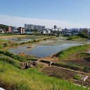 일순농장 이미지