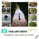 자전거 터미널 | [대만 여행] 가오슝 소류구｜가는법·전기자전거·맛집 후기 정리