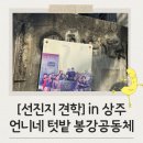 언니네텃밭 봉강공동체 이미지