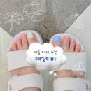 디바 | 여름 페디큐어 추천, 가성비 최고 데싱디바 후기(내돈내산)