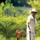 아부지 이미지