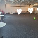 브이독(V-dog) 이미지