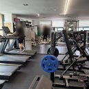 아나토미 스트랭스 이미지