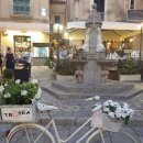 트로피아 이미지