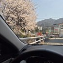 전라도엄마밥상 이미지