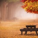 구리시 행정복지센터 이미지